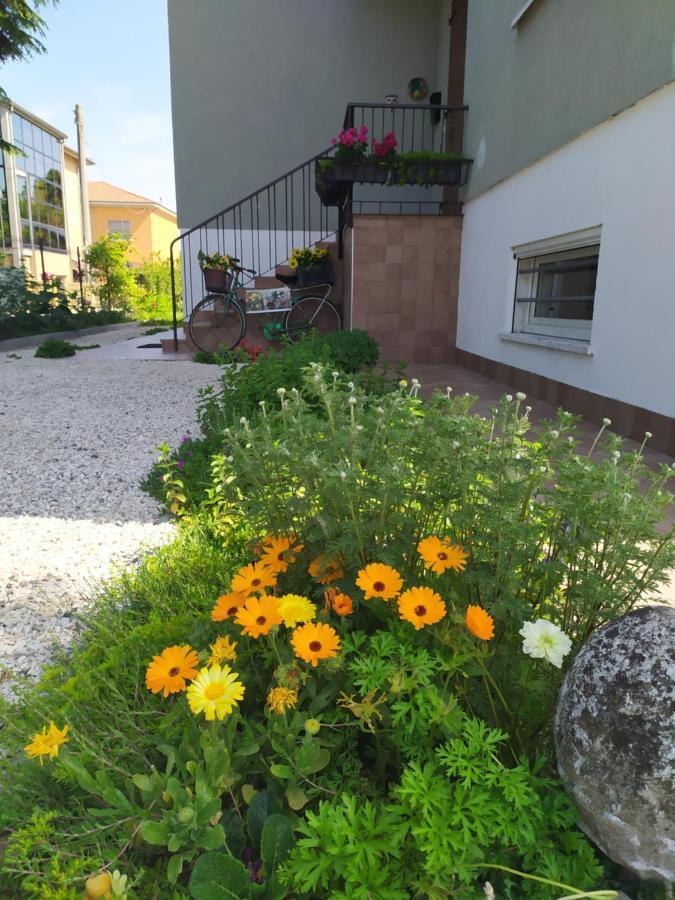 San Giorgio di Mantova Casa Vacanze I Giardini Di Marzo מראה חיצוני תמונה